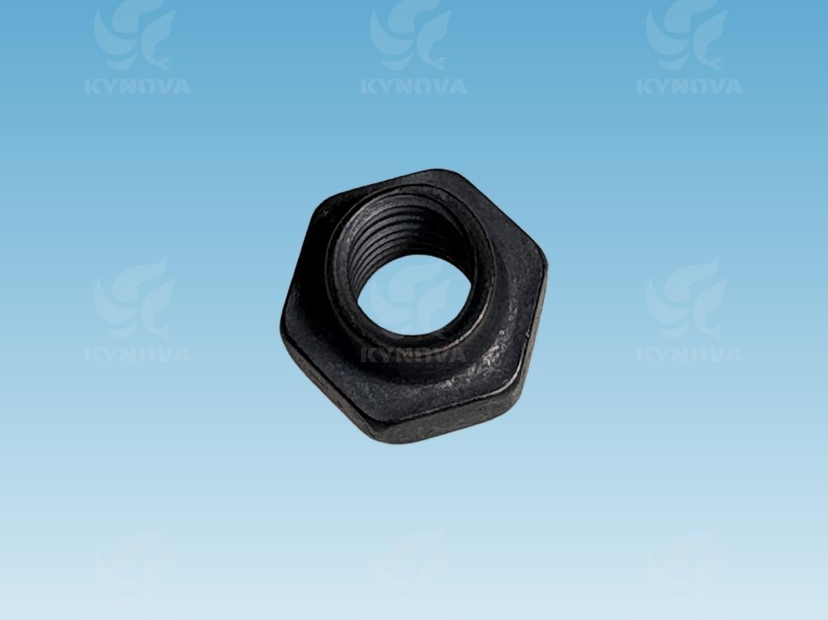 Check valve for WOODWARD UG8D/10D 2