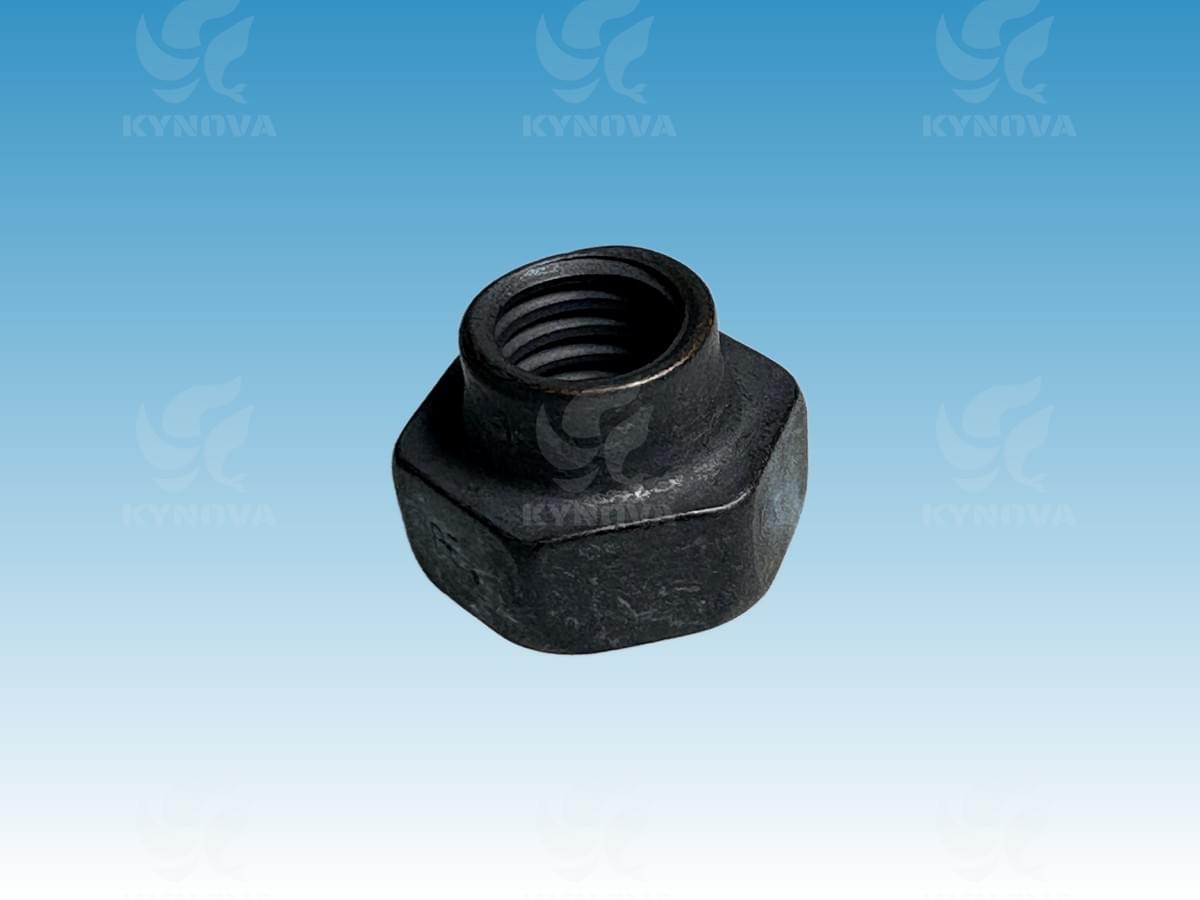 Check valve for WOODWARD UG8D/10D 2