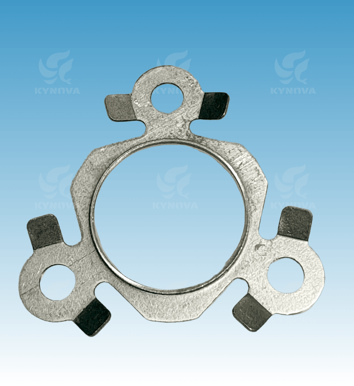 Bearing Retainer Plate
