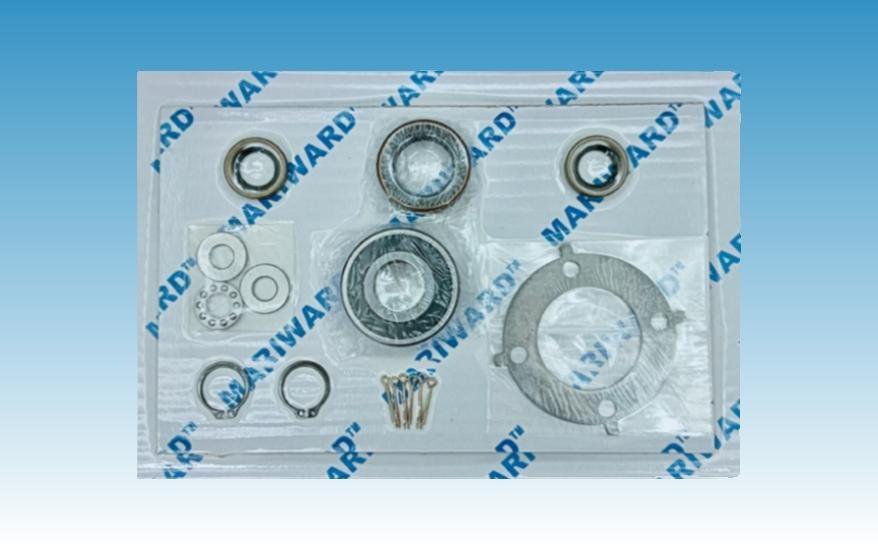 调速器修理包 REGULATEURS EUROPA 1102