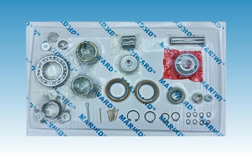 调速器修理包 PGA EG58