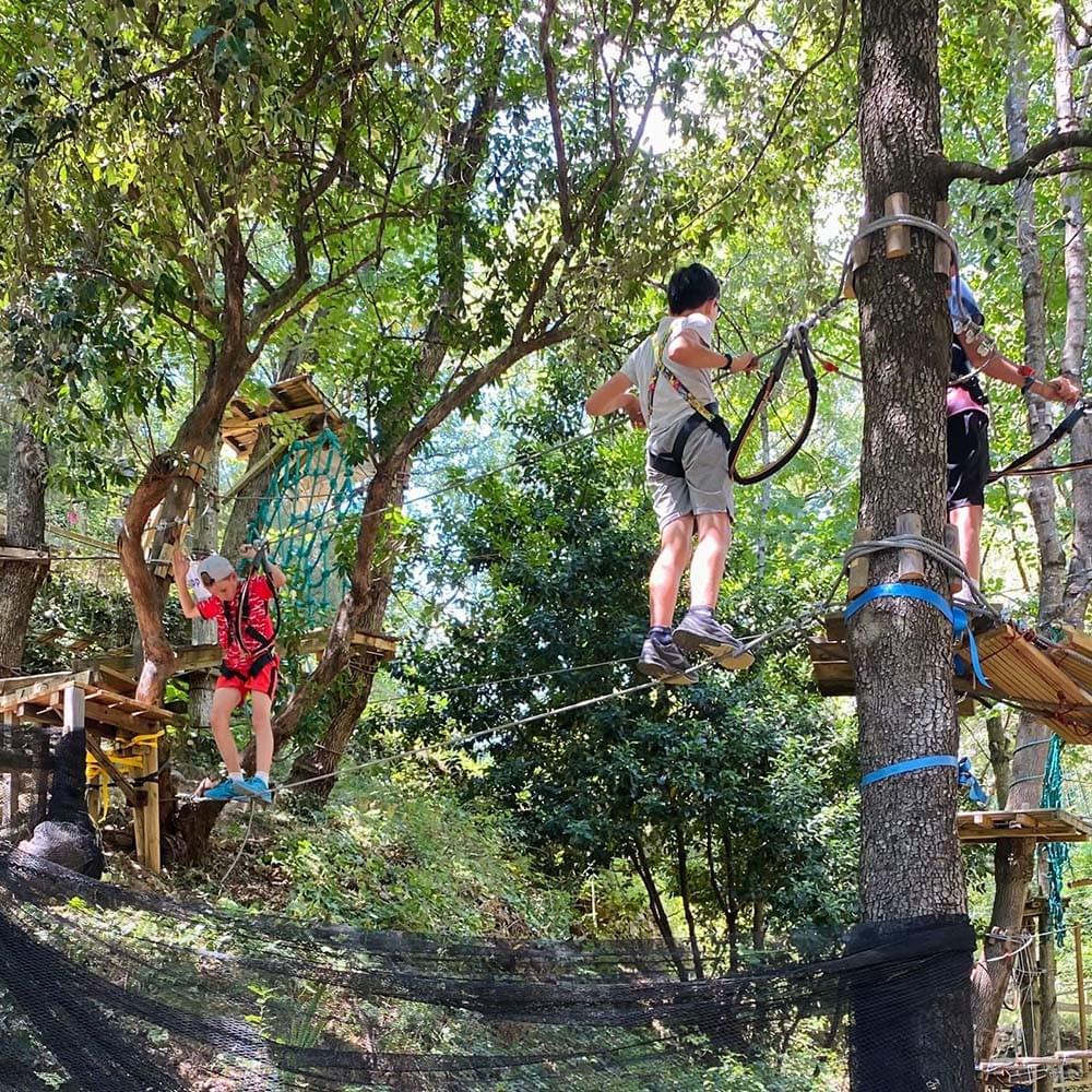Groupe d'enfants lors d'une activité accrobranche dans l'Hérault Groupe d'enfants lors d'une activité accrobranche dans l'Hérault