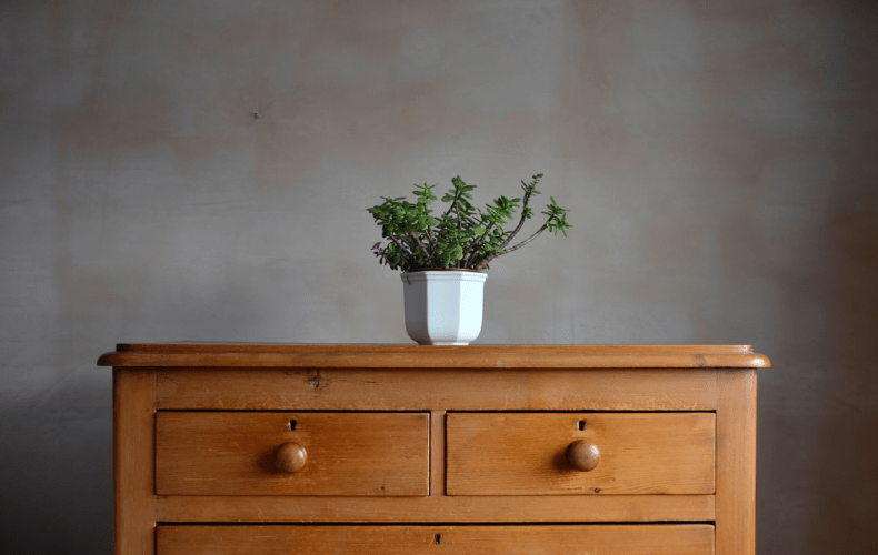 Small potted plant on a chest of drawers. Small potted plant on a chest of drawers.