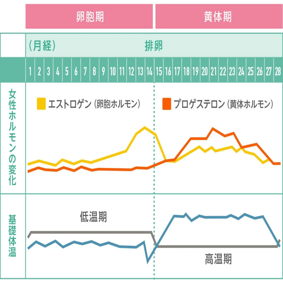 Through specialized and individualized programs tailored to the customer's constitution and lifestyle habits, we aim for fundamental health recovery. personalized health treatment program Our company's service The "comprehensive medical care" service is centered on the traditional concept of "food and medicine are of the same origin" and pursues a harmonious integration of modern medical science methods and natural dietary therapy. This service focuses on the fundamental recovery and maintenance of health in the body, providing specialized and individualized health treatment programs according to the differences in individual constitutions and characteristics of lifestyle habits, and supports people in building a stable and healthy lifestyle over the long term.