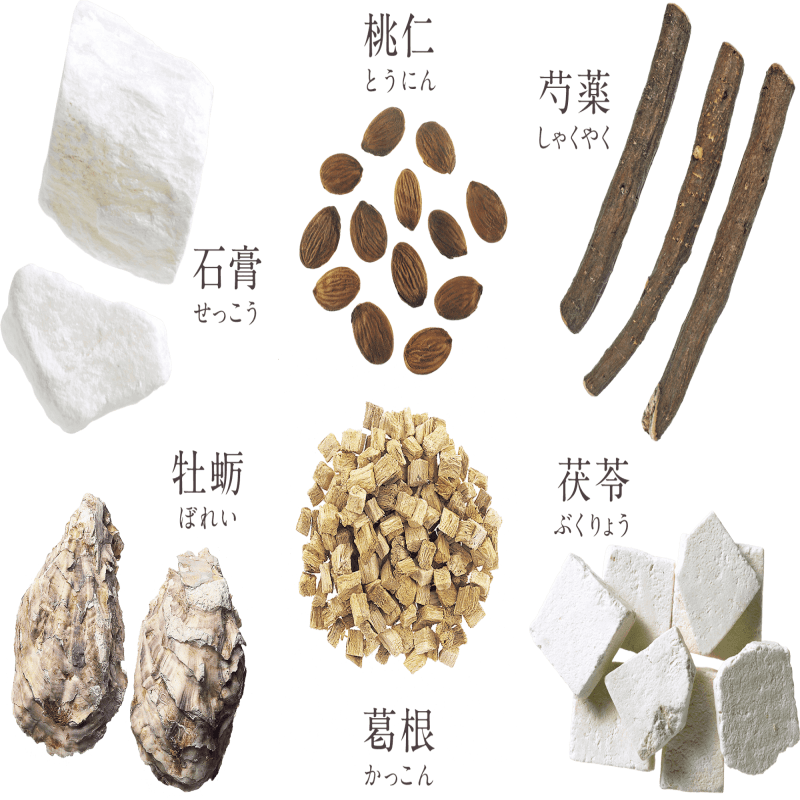 - Nakamura Misaki The approach based on the idea that food and medicine come from the same source has deepened my understanding of health. Individual programs are very effective. We have supported the health of many customers. The "Comprehensive Medical Care" service is centered on the traditional concept of "food and medicine are of the same origin" and pursues a harmonious integration of modern medical science methods and natural dietary therapy. This service focuses on the fundamental recovery and maintenance of health in the body, providing specialized and individualized health treatment programs according to the differences in individual constitutions and lifestyle characteristics, and supports people in building a stable and healthy lifestyle over the long term.