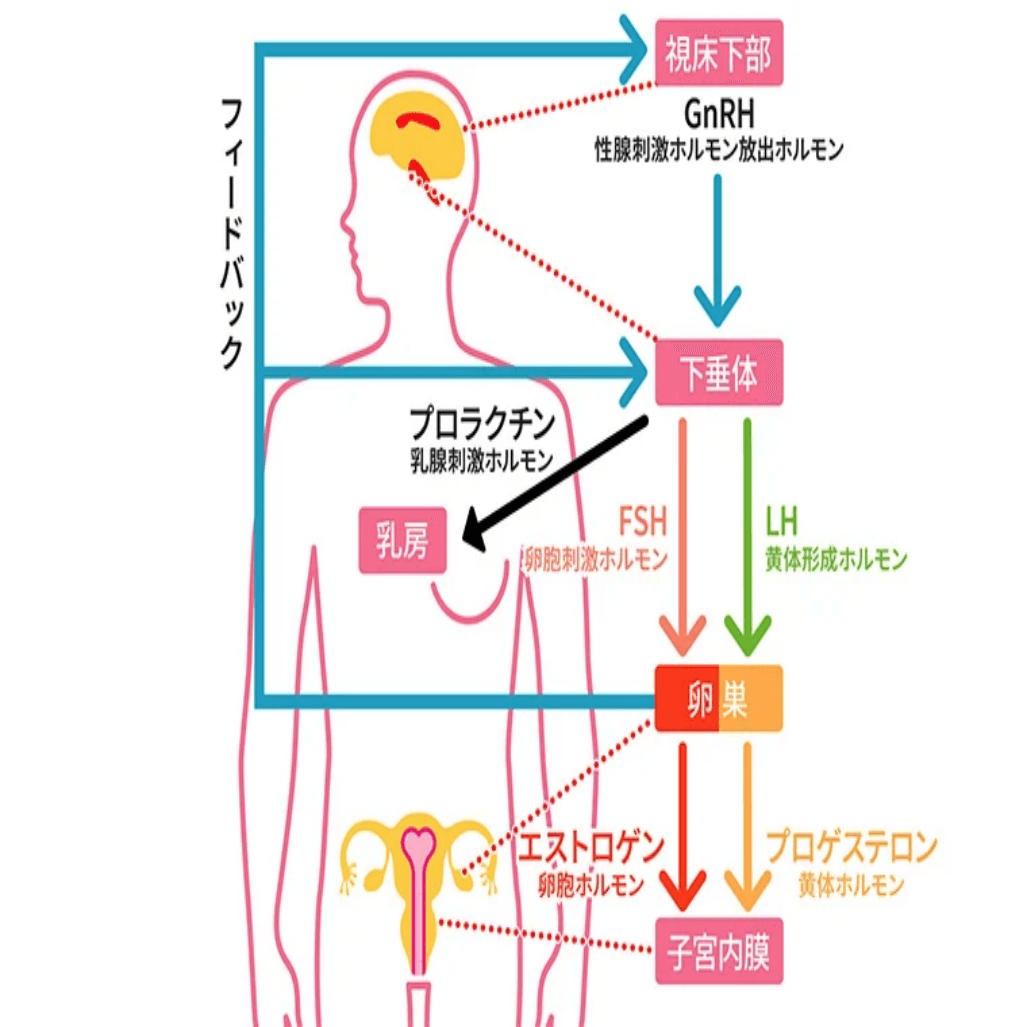 Support improvements in lifestyle habits to maintain long-term stable health and propose a sustainable lifestyle. Building a sustainable healthy lifestyle Our company's service The "Comprehensive Medical Care" service is centered on the traditional concept of "food and medicine are of the same origin" and pursues a harmonious integration of modern medical science methods and natural dietary therapy. This service focuses on the fundamental recovery and maintenance of health in the body, providing specialized and individualized health treatment programs according to the differences in individual constitutions and lifestyle characteristics, and supports people in building a stable and healthy lifestyle over the long term.