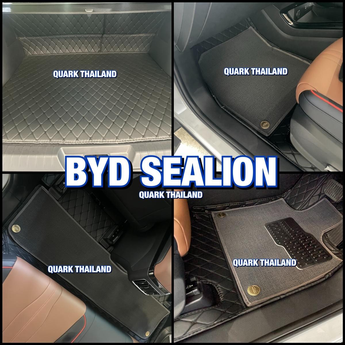 พรม6D BYD SEALION