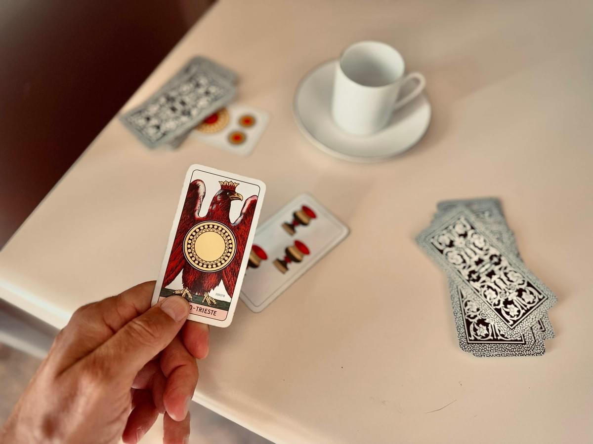 photo by Dario Ranocchiari, licence (CC BY-NC-SA) photo by Dario Ranocchiari, licence (CC BY-NC-SA)