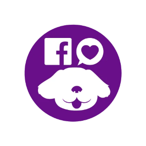 家的幸福進行式 家的幸福進行式