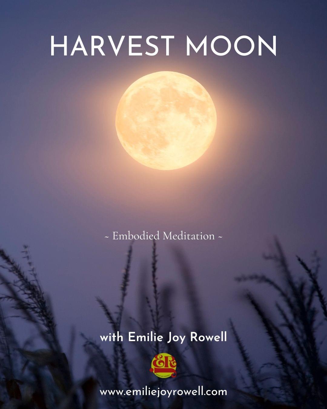 Harvest Moon Meditation at Vallis Farm, Frome - September 6th 2025. Poster shows the full moon over a field of ripe grain. Harvest Moon Meditation at Vallis Farm, Frome - September 6th 2025. Poster shows the full moon over a field of ripe grain.