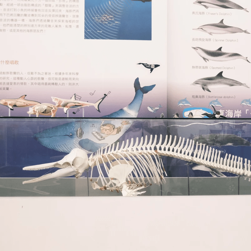 Section image