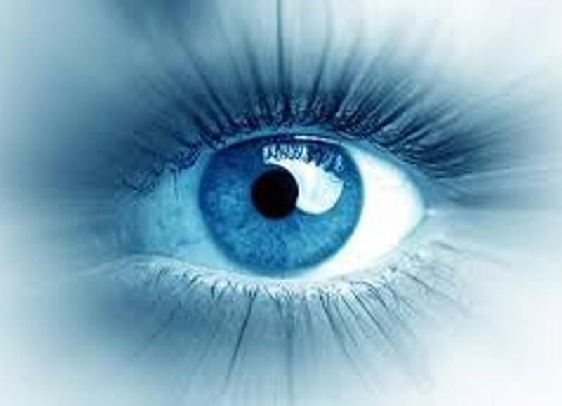 The Tuina massage is an effective form of manual therapy that relieves tension, promotes circulation, and harmonizes the energy flows in the body. Ideal for supporting recovery and for stress reduction. Tuina Massage Our services Traditional Chinese Medicine, acupuncture, moxibustion, tui na, cupping, Chinese herbal medicine The Tuina massage is an effective form of manual therapy that relieves tension, promotes circulation, and harmonizes the energy flows in the body. Ideal for supporting recovery and for stress reduction. Tuina Massage Our services Traditional Chinese Medicine, acupuncture, moxibustion, tui na, cupping, Chinese herbal medicine