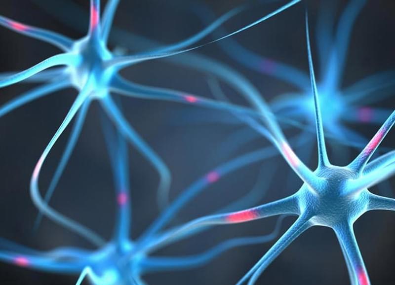 Our applications of traditional Chinese medicine (TCM) combine herbal therapy, nutrition, and lifestyle counseling to promote health holistically and prevent diseases. Traditional Chinese Medicine Our services Traditional Chinese Medicine, acupuncture, moxibustion, tui na (Chinese therapeutic massage), cupping, Chinese herbal medicine Our applications of traditional Chinese medicine (TCM) combine herbal therapy, nutrition, and lifestyle counseling to promote health holistically and prevent diseases. Traditional Chinese Medicine Our services Traditional Chinese Medicine, acupuncture, moxibustion, tui na (Chinese therapeutic massage), cupping, Chinese herbal medicine