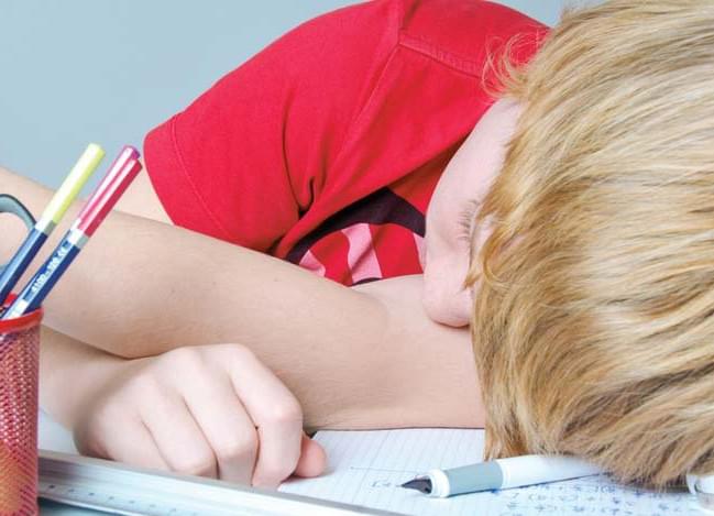 The Tuina massage is an effective form of manual therapy that relieves tension, promotes circulation, and harmonizes the energy flows in the body. Ideal for supporting recovery and for stress reduction. Tuina Massage Our services Traditional Chinese Medicine, acupuncture, moxibustion, tui na, cupping, Chinese herbal medicine The Tuina massage is an effective form of manual therapy that relieves tension, promotes circulation, and harmonizes the energy flows in the body. Ideal for supporting recovery and for stress reduction. Tuina Massage Our services Traditional Chinese Medicine, acupuncture, moxibustion, tui na, cupping, Chinese herbal medicine