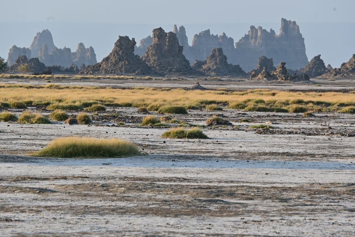 Participate in unforgettable excursions through the unique landscapes of Djibouti, from the desert to the beaches. Enjoy diving, trekking, and much more in an exceptional natural setting. Excursions Adventures Our Mission Tourism Agency Participate in unforgettable excursions through the unique landscapes of Djibouti, from the desert to the beaches. Enjoy diving, trekking, and much more in an exceptional natural setting. Excursions Adventures Our Mission Tourism Agency