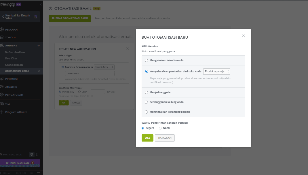 Bagaimana Strikingly Dapat Membantu Pemasaran Email - Kampanye Email Otomatis Bagaimana Strikingly Dapat Membantu Pemasaran Email - Kampanye Email Otomatis