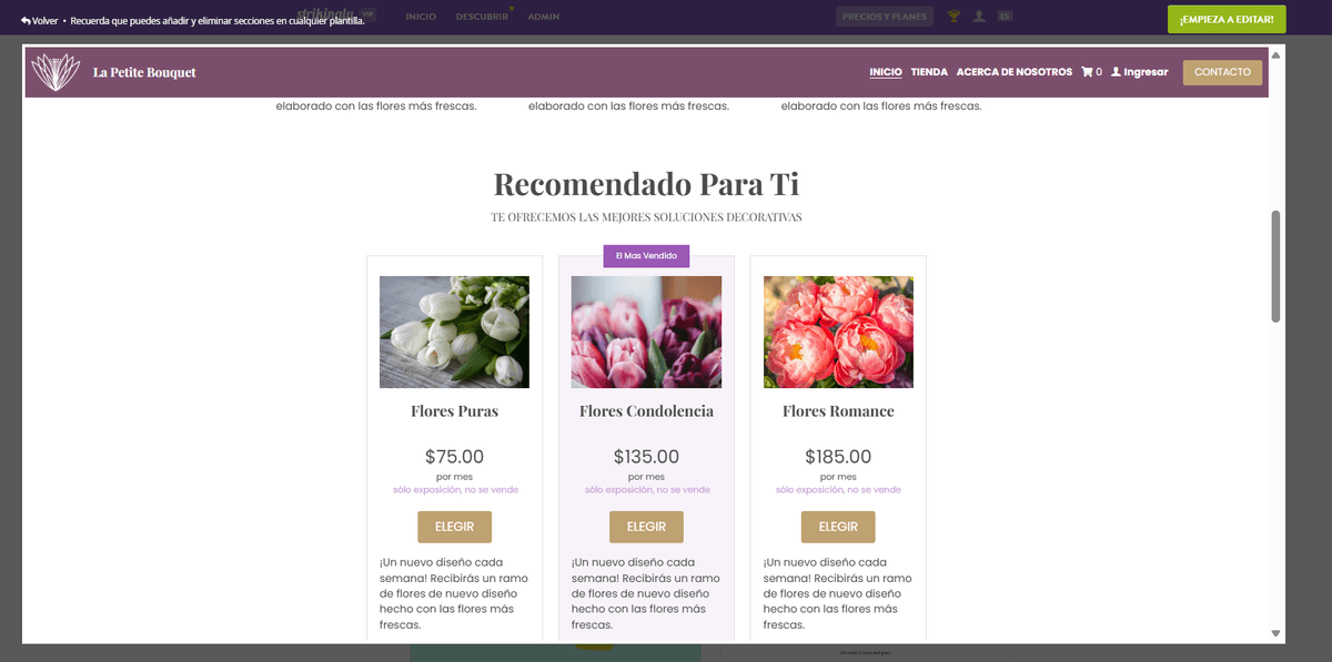 Plantilla Le Petit Bouquet de Strikingly Plantilla Le Petit Bouquet de Strikingly