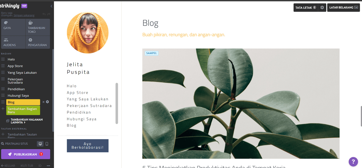 Cara Memulai Situs Web Blog Menggunakan Strikingly - Sesuaikan Blog Anda Cara Memulai Situs Web Blog Menggunakan Strikingly - Sesuaikan Blog Anda