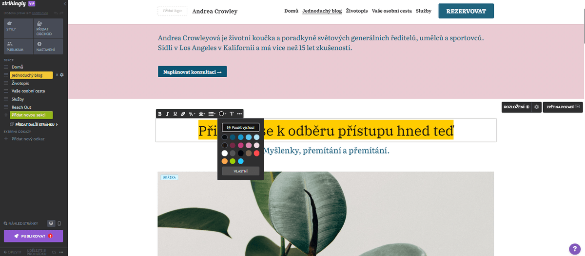 Jak cílit reklamu pomocí Strikingly – konzistentní branding Jak cílit reklamu pomocí Strikingly – konzistentní branding