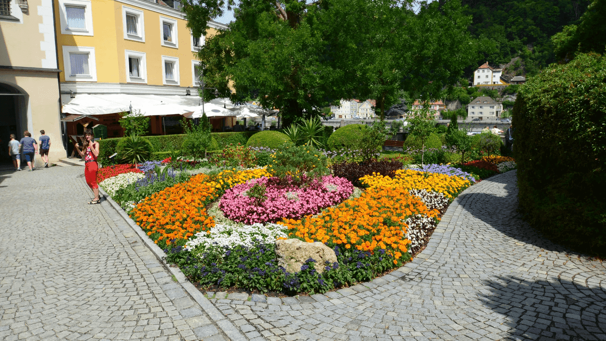 Ideas para sitios web de paisajismo Ideas para sitios web de paisajismo