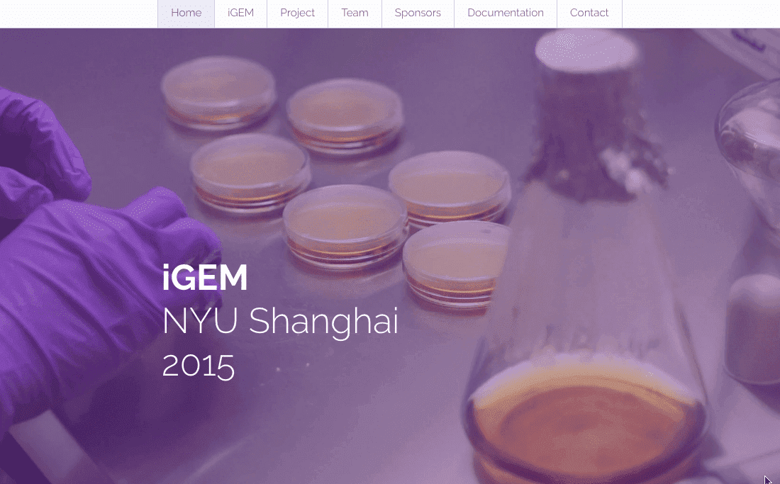 Ventas internacionales de IGEM NYU Shanghái Ventas internacionales de IGEM NYU Shanghái
