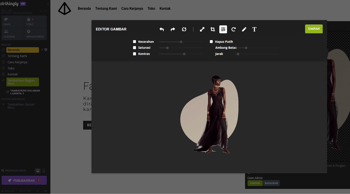 Editor Foto yang Mencolok Editor Foto yang Mencolok