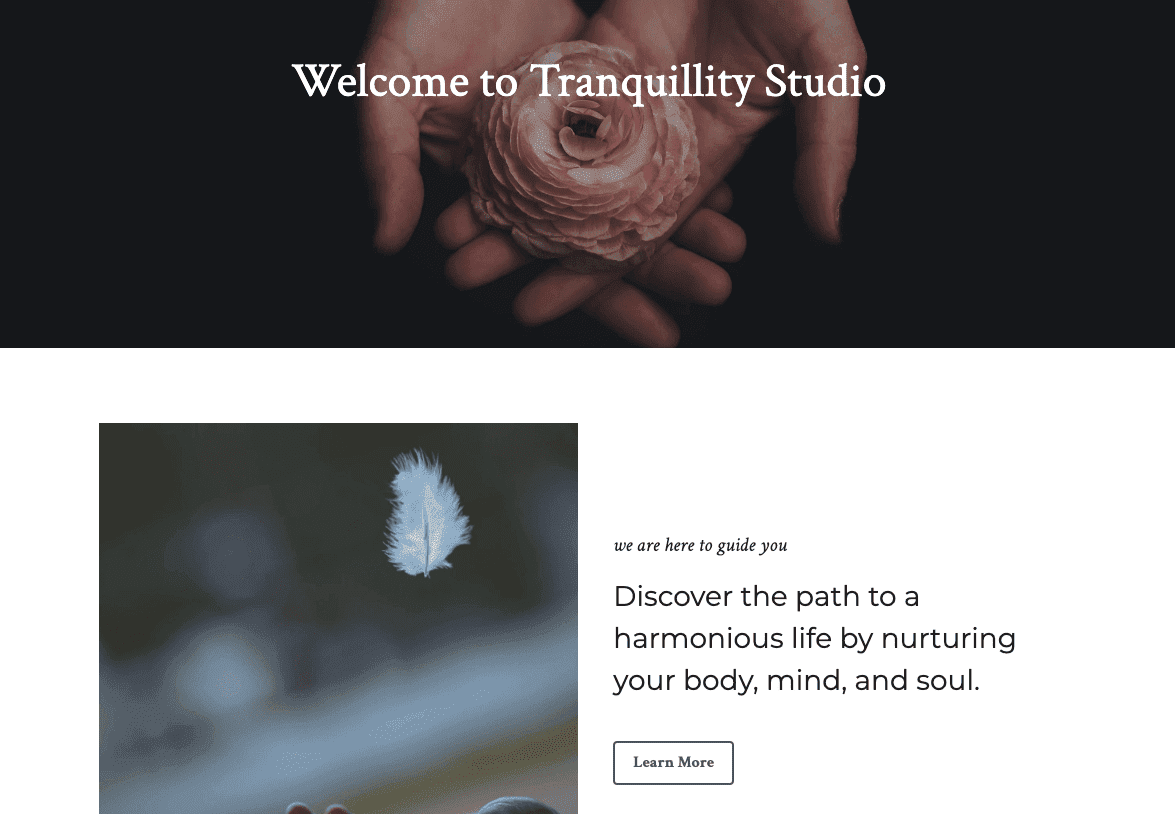 Šablona Tranquility Studio od Strikingly Šablona Tranquility Studio od Strikingly