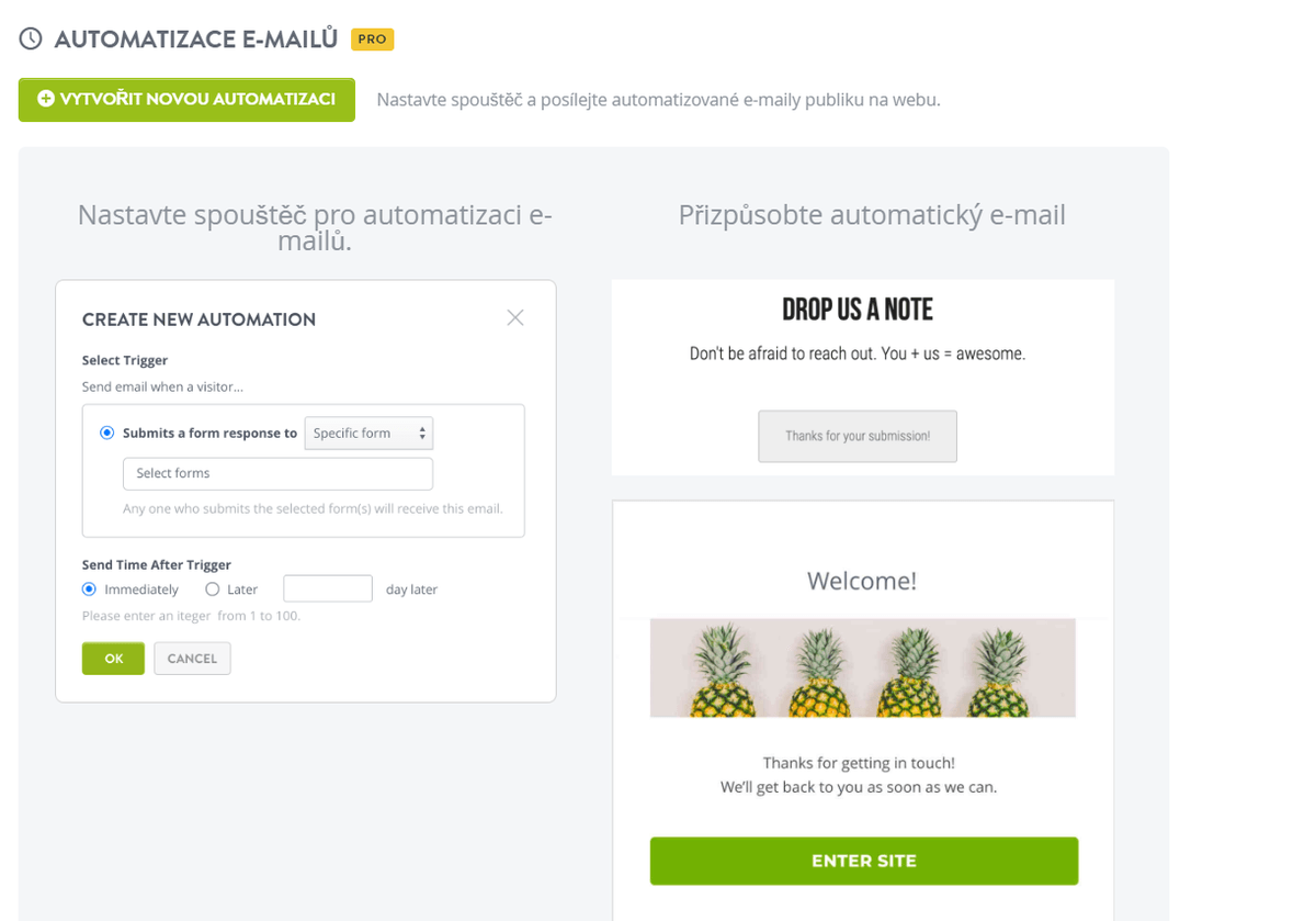 Funkce automatizace e-mailů Strikingly Funkce automatizace e-mailů Strikingly