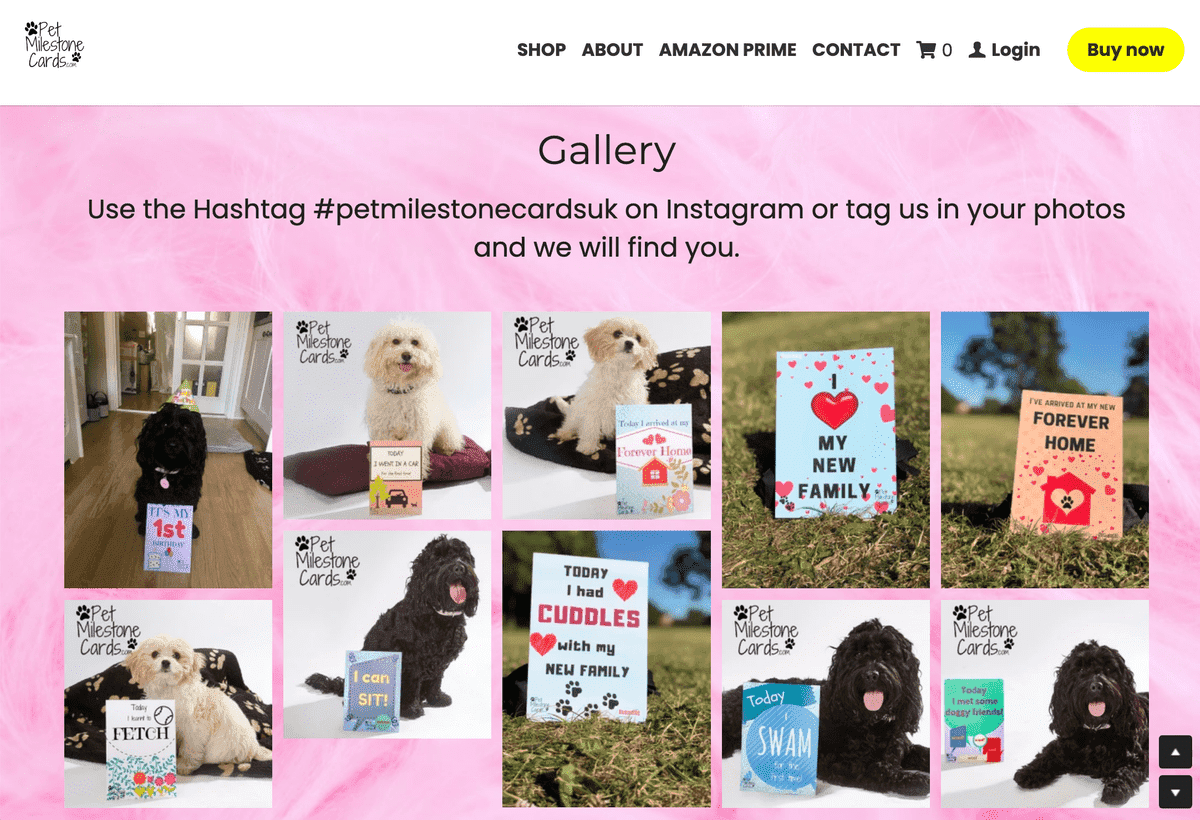 Estrategia de interacción en redes sociales con tarjetas de hitos para mascotas Estrategia de interacción en redes sociales con tarjetas de hitos para mascotas