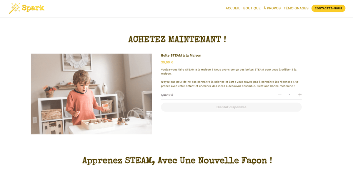 Modèle Spark Steam Modèle Spark Steam