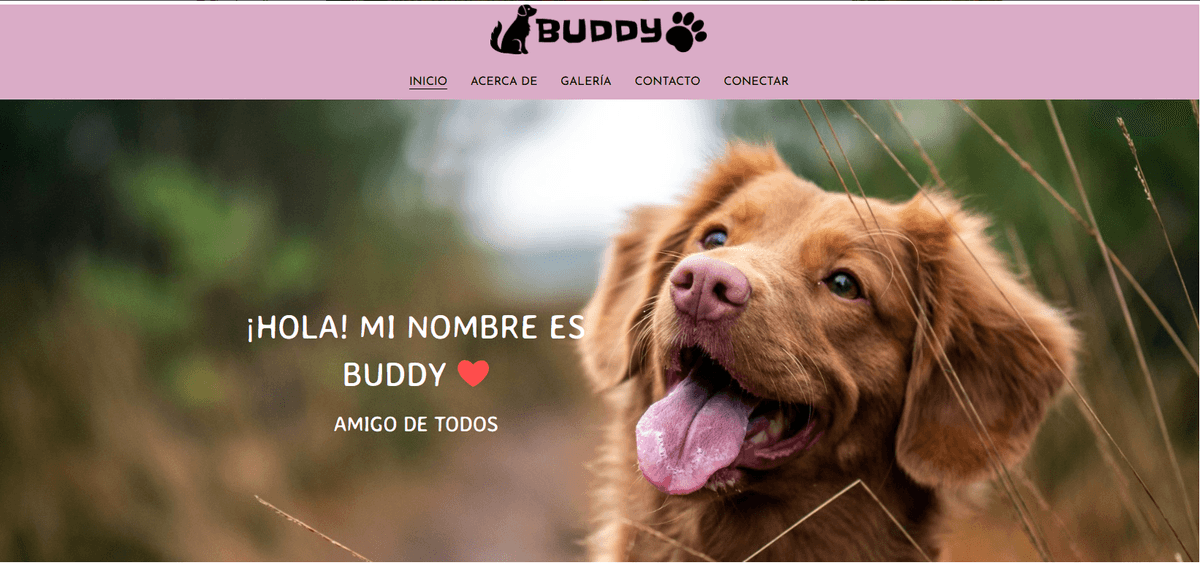 Plantilla de amigo de Strikingly Plantilla de amigo de Strikingly