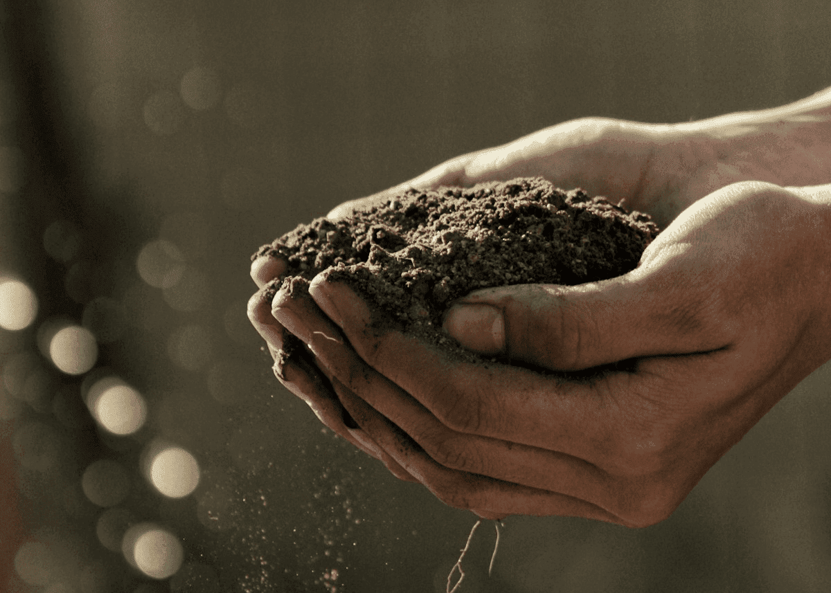 Typy podnikání - Navigace ve světě podnikání v neziskových organizacích Typy podnikání - Navigace ve světě podnikání v neziskových organizacích