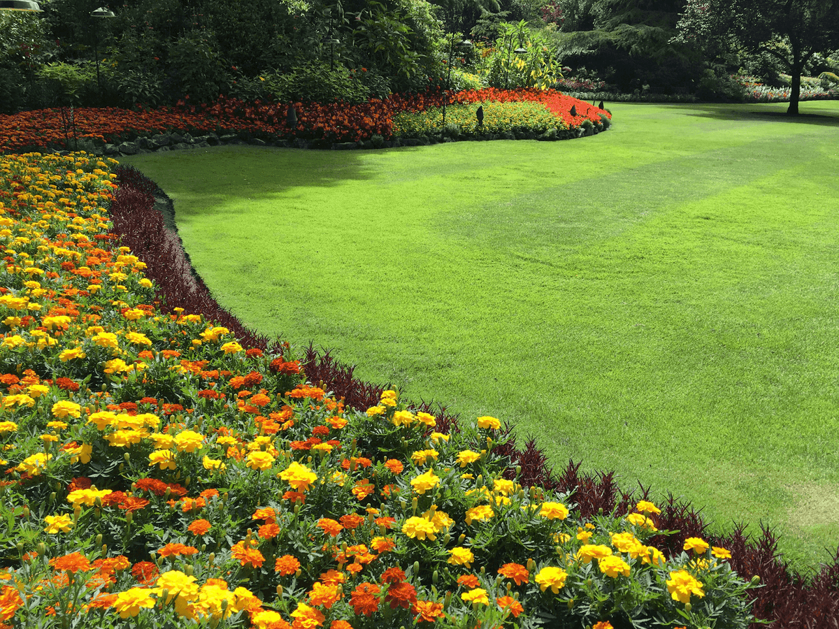 Hermoso jardín paisajístico que muestra un impresionante trabajo de paisajismo en un sitio web profesional. Hermoso jardín paisajístico que muestra un impresionante trabajo de paisajismo en un sitio web profesional.