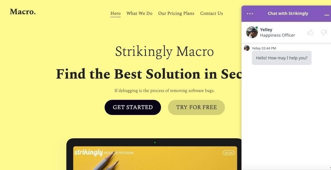 Template Makro dari Strikingly Template Makro dari Strikingly