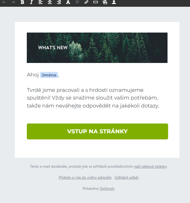 Redaktor newsletteru Striktně Redaktor newsletteru Striktně