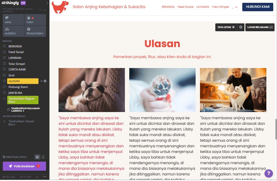 Bagaimana Strikingly Dapat Membantu Iklan Kebugaran - Testimoni Klien dan Kisah Sukses Bagaimana Strikingly Dapat Membantu Iklan Kebugaran - Testimoni Klien dan Kisah Sukses