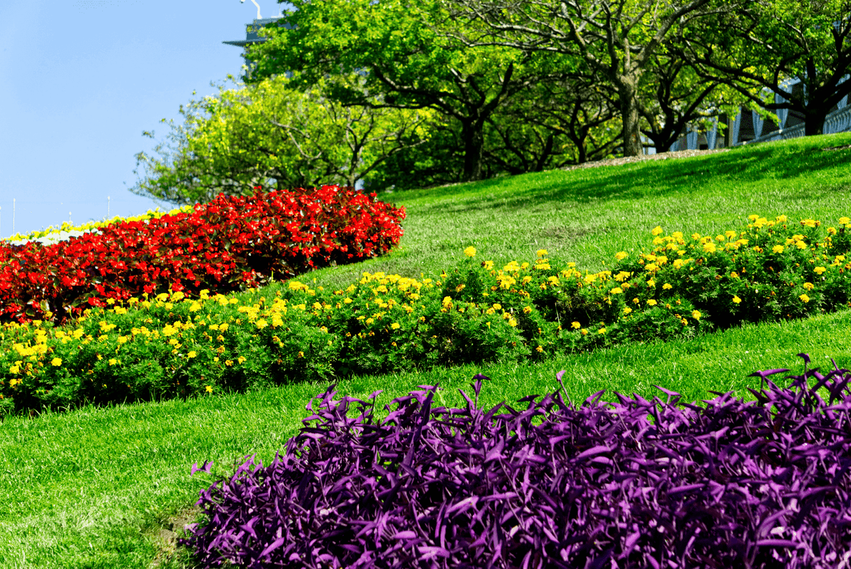 Hermoso jardín paisajístico que muestra la experiencia de un sitio web de paisajismo. Hermoso jardín paisajístico que muestra la experiencia de un sitio web de paisajismo.