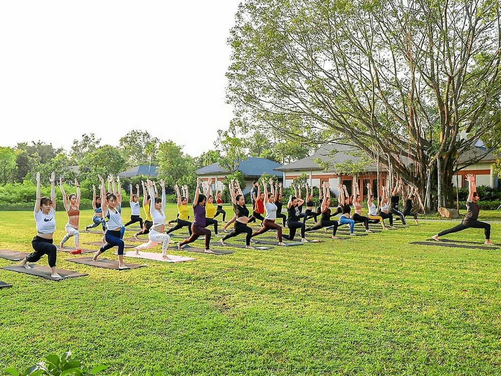 Retraites de yoga et meditation Retraites de yoga et meditation