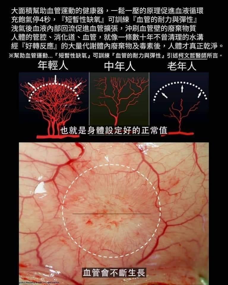 循環福音:愛爾康運動按摩器,好禮三選一