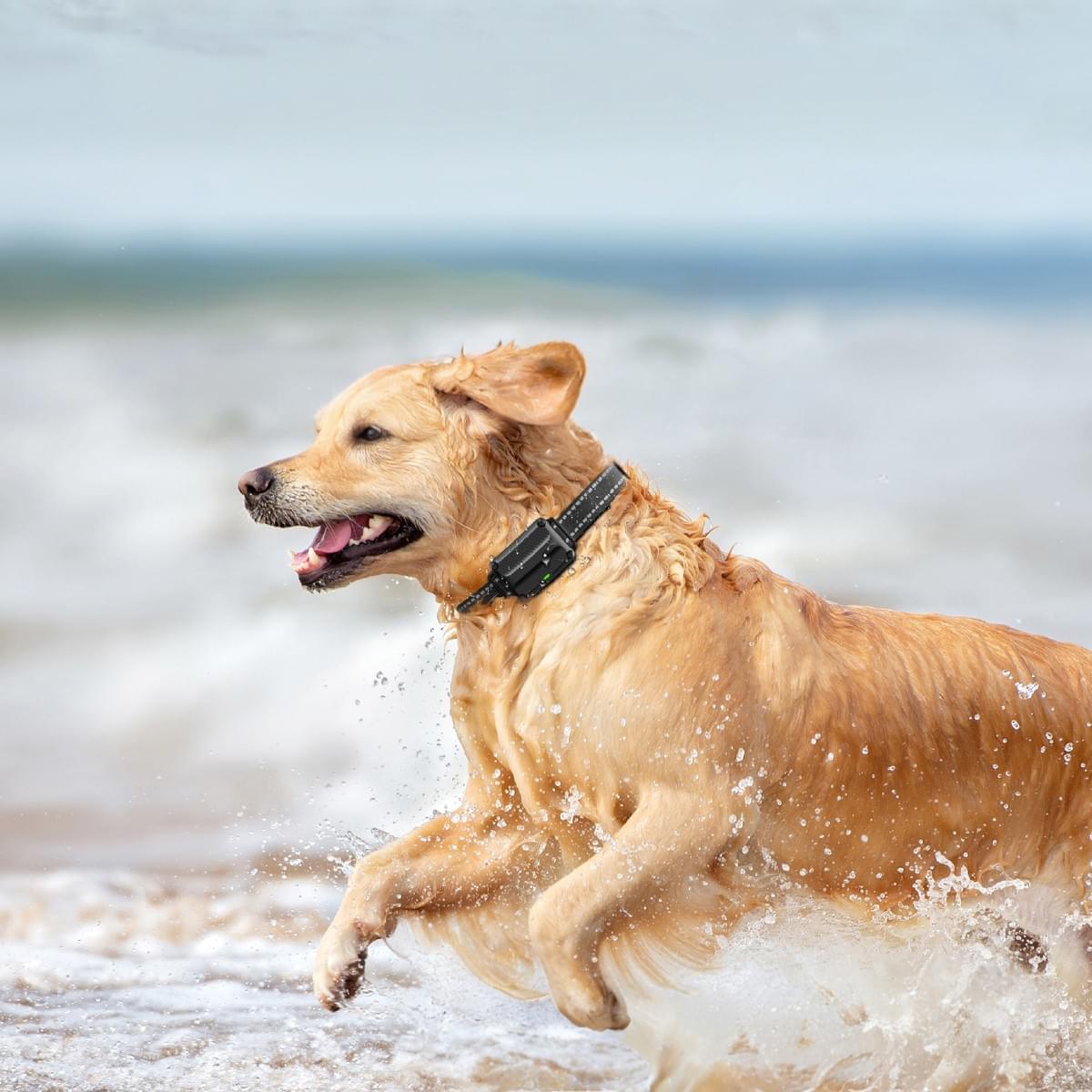 — Mark Thompson “I was involved in a minor accident and my car camera saved me from a false claim! I can't recommend it enough.” Thousands of drivers trust our car camera to protect their rights on the road Don't Ever Get Caught Driving A Car Without This! Top Rated Device Helps Thousands Get Out Of Wrongful AllegationsA car crash happens about every 5 seconds in the US ! That number means approximately 20 every minute, 6 million every year.Let's face it: While you may do your part as a responsible driver, and pride that "I am a safe driver, and I have a perfect driving record", the same can't be said for everyone else on the road.Outrageous drivers are everywhere.You could be a VICTIM in a head-on collision, rear-ending accident, side collision, or any number of different scenarios, even if you drive safely and abide by the traffic laws! But that's even not the worst coming to face…In fact, most insurance companies in the US will raise your rates by an average of 53% after an accident if you can't prove that it wasn't your fault. You are the victim, yet still, you have to pay. — Mark Thompson “I was involved in a minor accident and my car camera saved me from a false claim! I can't recommend it enough.” Thousands of drivers trust our car camera to protect their rights on the road Don't Ever Get Caught Driving A Car Without This! Top Rated Device Helps Thousands Get Out Of Wrongful AllegationsA car crash happens about every 5 seconds in the US ! That number means approximately 20 every minute, 6 million every year.Let's face it: While you may do your part as a responsible driver, and pride that "I am a safe driver, and I have a perfect driving record", the same can't be said for everyone else on the road.Outrageous drivers are everywhere.You could be a VICTIM in a head-on collision, rear-ending accident, side collision, or any number of different scenarios, even if you drive safely and abide by the traffic laws! But that's even not the worst coming to face…In fact, most insurance companies in the US will raise your rates by an average of 53% after an accident if you can't prove that it wasn't your fault. You are the victim, yet still, you have to pay.