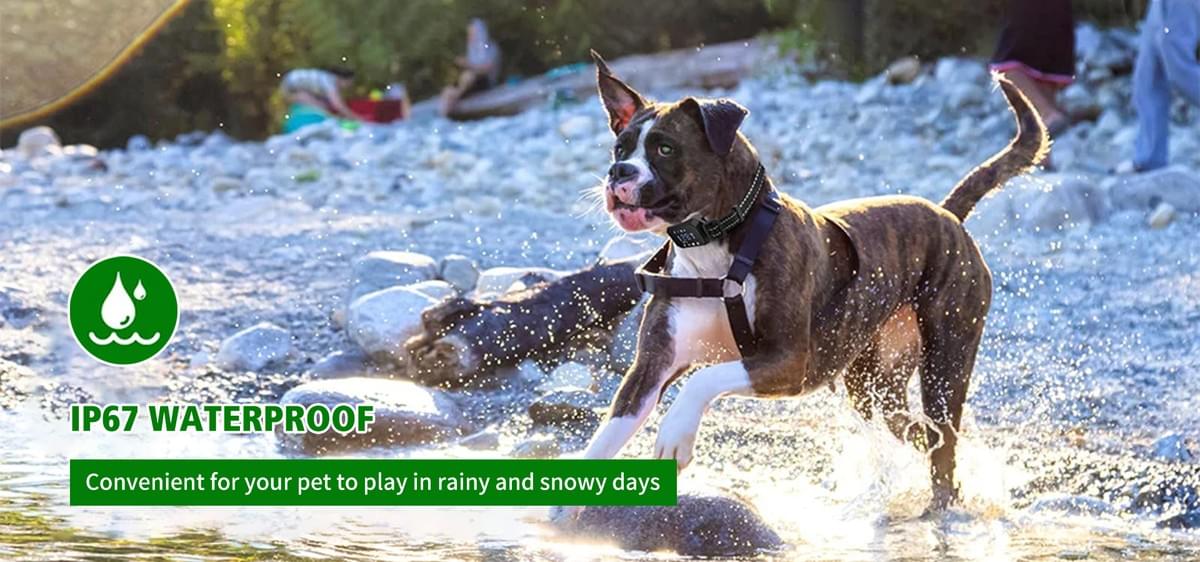 Join thousands of satisfied drivers who have safeguarded their driving records. Protect Yourself on the Road with a Car Camera Don't Ever Get Caught Driving A Car Without This! Top Rated Device Helps Thousands Get Out Of Wrongful Allegations
A car crash happens about every 5 seconds in the US ! That number means approximately 20 every minute, 6 million every year.
Let's face it: While you may do your part as a responsible driver, and pride that "I am a safe driver, and I have a perfect driving record", the same can't be said for everyone else on the road.
Outrageous drivers are everywhere.
You could be a VICTIM in a head-on collision, rear-ending accident, side collision, or any number of different scenarios, even if you drive safely and abide by the traffic laws! But that's even not the worst coming to face…
In fact, most insurance companies in the US will raise your rates by an average of 53% after an accident if you can't prove that it wasn't your fault. You are the victim, yet still, you have to pay. Join thousands of satisfied drivers who have safeguarded their driving records. Protect Yourself on the Road with a Car Camera Don't Ever Get Caught Driving A Car Without This! Top Rated Device Helps Thousands Get Out Of Wrongful Allegations
A car crash happens about every 5 seconds in the US ! That number means approximately 20 every minute, 6 million every year.
Let's face it: While you may do your part as a responsible driver, and pride that "I am a safe driver, and I have a perfect driving record", the same can't be said for everyone else on the road.
Outrageous drivers are everywhere.
You could be a VICTIM in a head-on collision, rear-ending accident, side collision, or any number of different scenarios, even if you drive safely and abide by the traffic laws! But that's even not the worst coming to face…
In fact, most insurance companies in the US will raise your rates by an average of 53% after an accident if you can't prove that it wasn't your fault. You are the victim, yet still, you have to pay.