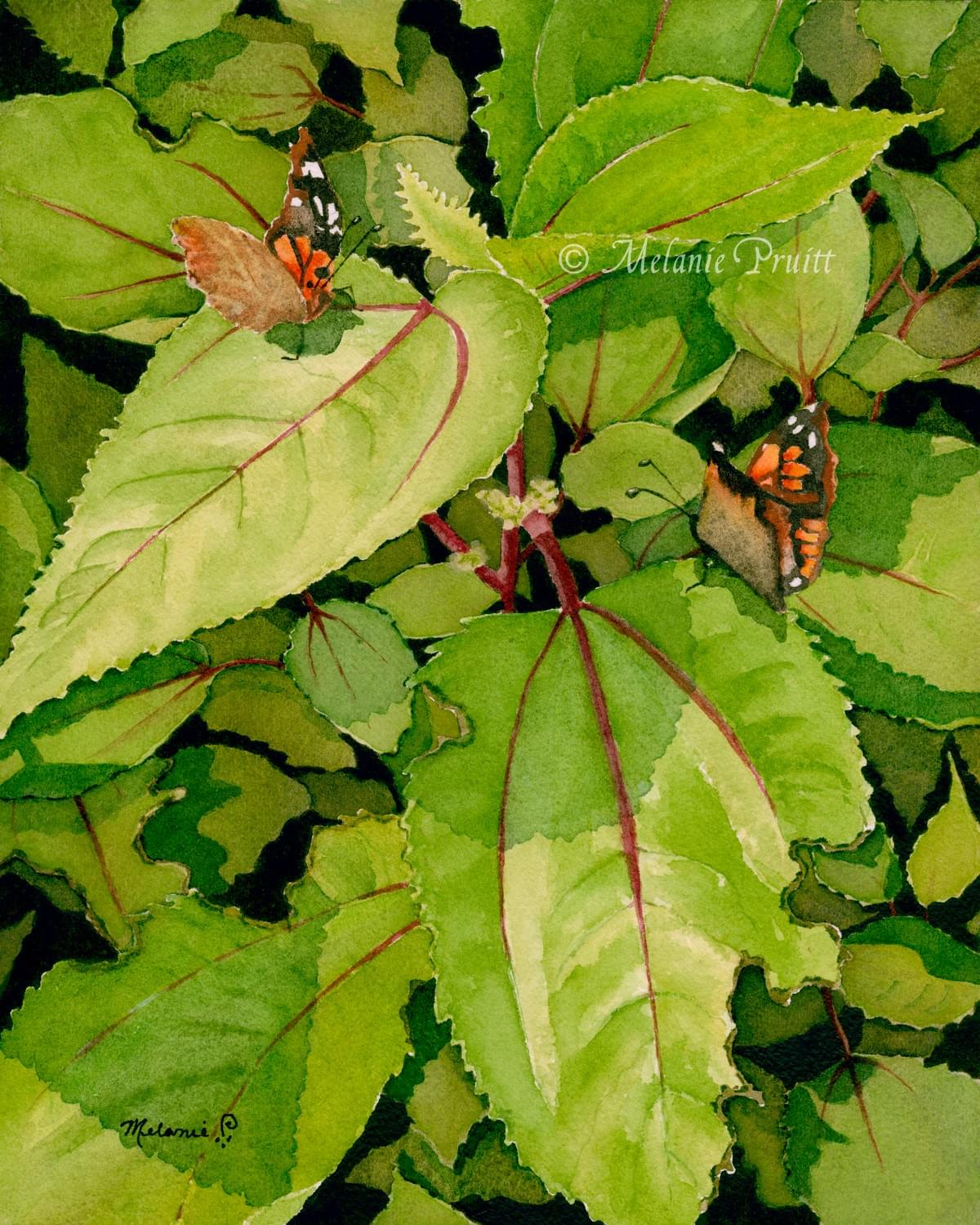 Reborn displays the hope that is represented by butterflies. Reborn displays the hope that is represented by butterflies.