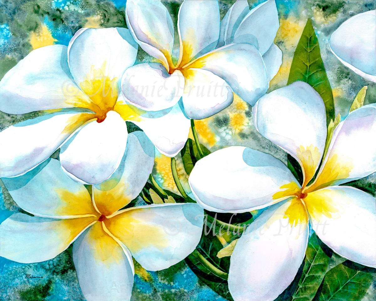 watercolor plumeria watercolor plumeria