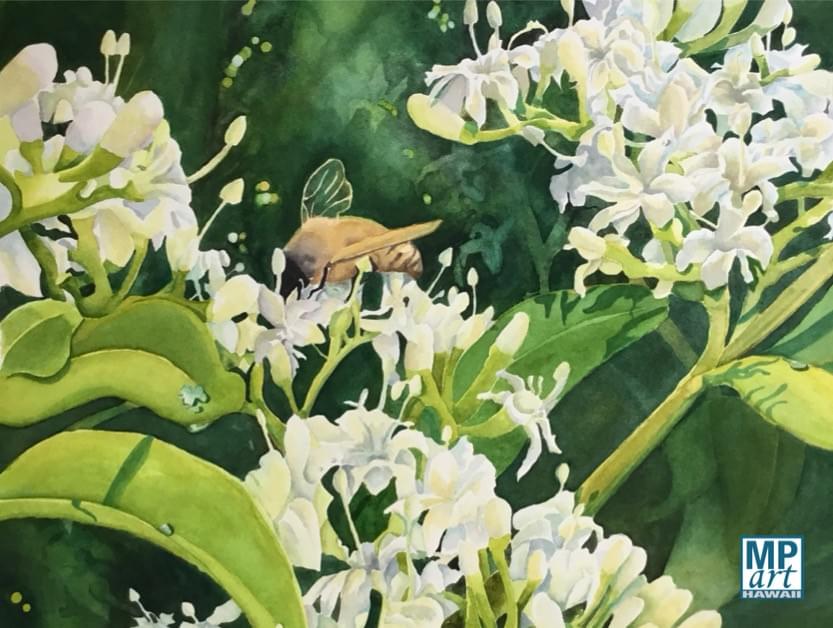 Native Hawaiian plant Native Hawaiian plant