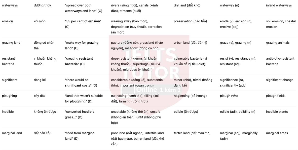 🔥Should We Stop Eating Meat? Answers with location - Đề luyện tập IELTS READING- Làm bài online format computer-based, kèm đáp án, dịch & giải thích từ vựng - cấu trúc ngữ pháp khó 🔥Should We Stop Eating Meat? Answers with location - Đề luyện tập IELTS READING- Làm bài online format computer-based, kèm đáp án, dịch & giải thích từ vựng - cấu trúc ngữ pháp khó