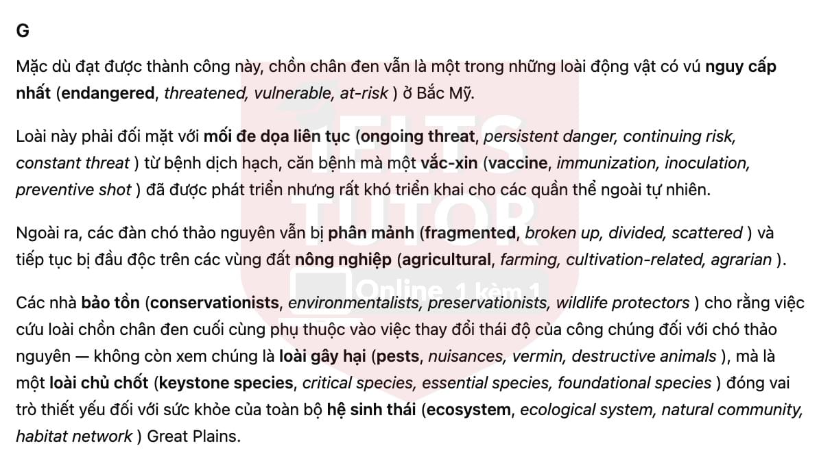 🔥The return of the black-footed ferret Answers with location - Đề luyện tập IELTS READING- Làm bài online format computer-based, kèm đáp án, dịch & giải thích từ vựng - cấu trúc ngữ pháp khó 🔥The return of the black-footed ferret Answers with location - Đề luyện tập IELTS READING- Làm bài online format computer-based, kèm đáp án, dịch & giải thích từ vựng - cấu trúc ngữ pháp khó