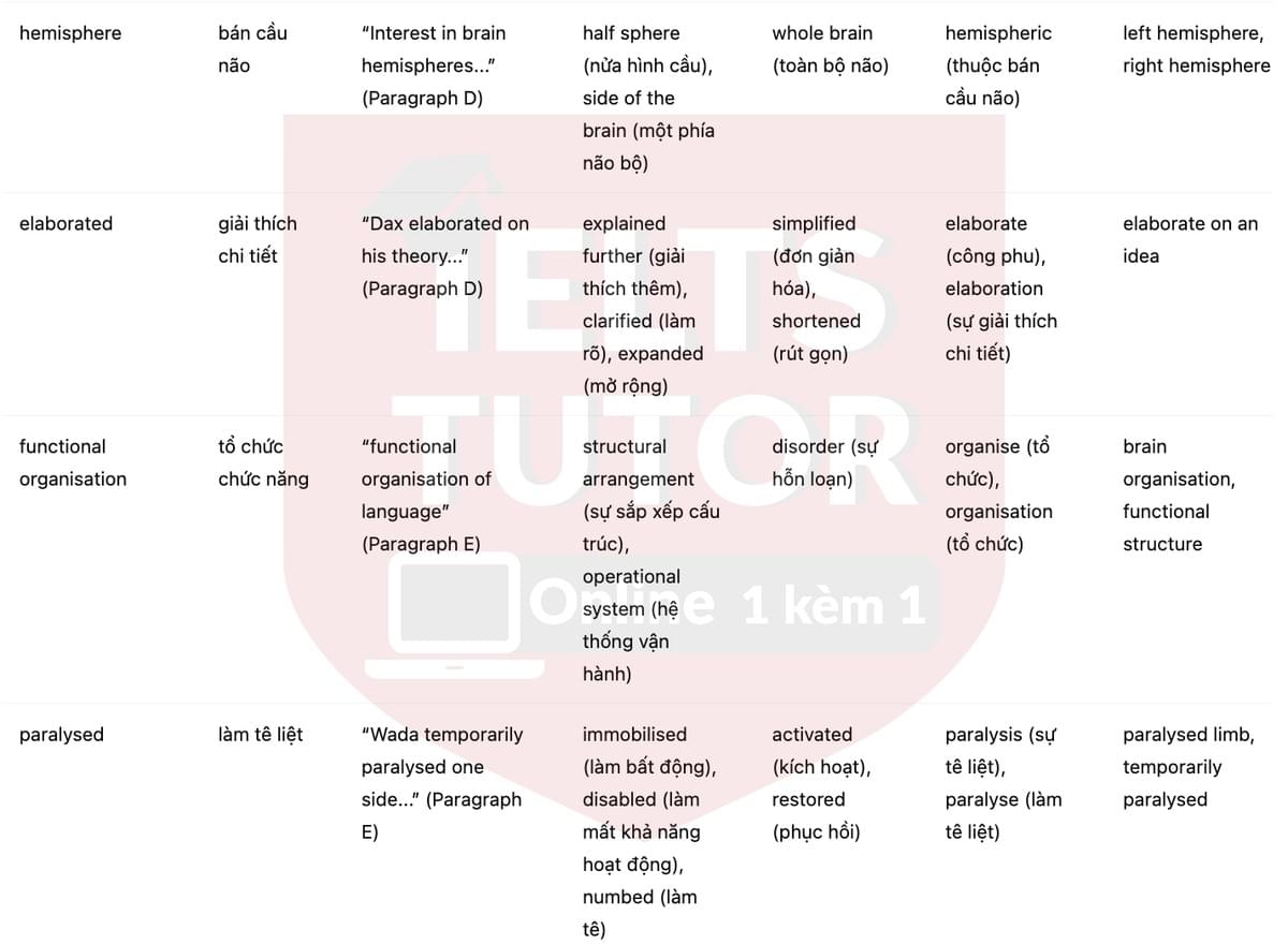 🔥Left-handed or Right-handed? Answers with location - Đề luyện tập IELTS READING- Làm bài online format computer-based, kèm đáp án, dịch & giải thích từ vựng - cấu trúc ngữ pháp khó 🔥Left-handed or Right-handed? Answers with location - Đề luyện tập IELTS READING- Làm bài online format computer-based, kèm đáp án, dịch & giải thích từ vựng - cấu trúc ngữ pháp khó