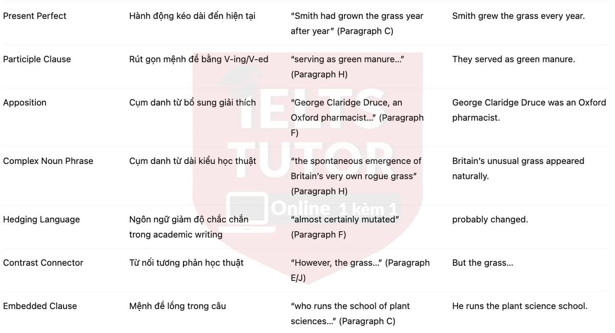 🔥A brome lives on: How a British grass escaped extinction Answers with location - Đề luyện tập IELTS READING- Làm bài online format computer-based, kèm đáp án, dịch & giải thích từ vựng - cấu trúc ngữ pháp khó 🔥A brome lives on: How a British grass escaped extinction Answers with location - Đề luyện tập IELTS READING- Làm bài online format computer-based, kèm đáp án, dịch & giải thích từ vựng - cấu trúc ngữ pháp khó