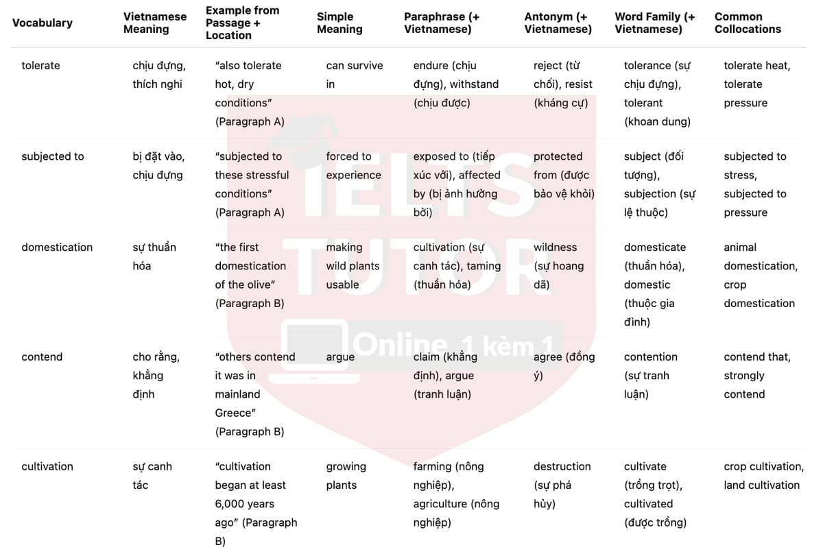 🔥The Early History of Olive Oil Answers with location - Đề luyện tập IELTS READING- Làm bài online format computer-based, kèm đáp án, dịch & giải thích từ vựng - cấu trúc ngữ pháp khó 🔥The Early History of Olive Oil Answers with location - Đề luyện tập IELTS READING- Làm bài online format computer-based, kèm đáp án, dịch & giải thích từ vựng - cấu trúc ngữ pháp khó