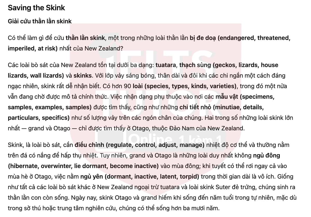 🔥Saving the Skink Answers with location - Đề luyện tập IELTS READING- Làm bài online format computer-based, kèm đáp án, dịch & giải thích từ vựng - cấu trúc ngữ pháp khó 🔥Saving the Skink Answers with location - Đề luyện tập IELTS READING- Làm bài online format computer-based, kèm đáp án, dịch & giải thích từ vựng - cấu trúc ngữ pháp khó